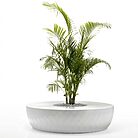 BANC VASES ISLAND – Banc design circulaire D178cm avec jardinière centrale pour extérieur ou intérieur