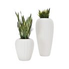 Pot decoration texture interieur exterieur espace accueil salle attente design premium