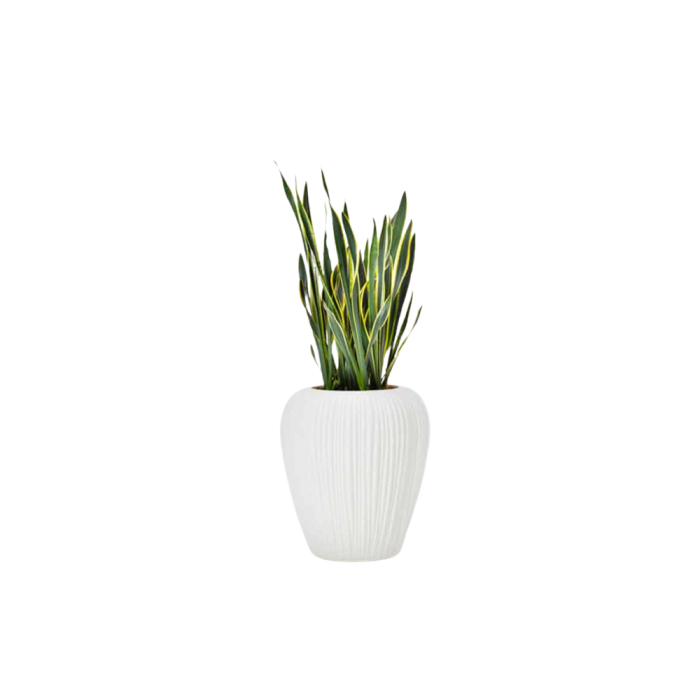 SILK – Pot de décoration texturé pour espaces intérieurs ou extérieurs haut de gamme (6) SILK – Pot de décoration texturé pour espaces intérieurs ou extérieurs haut de gamme (6)