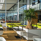 chaise et fauteuil vert pomme nature green restaurant branché