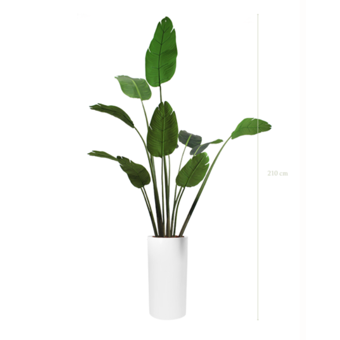 BANANIER 200220 - Arbre artificiel en pots cylindriques ou cubiques, noir ou blanc, finition écorces de pin (2) BANANIER 200220 - Arbre artificiel en pots cylindriques ou cubiques, noir ou blanc, finition écorces de pin (2)