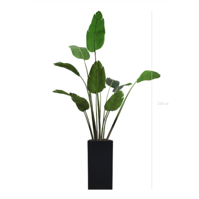 BANANIER 200220 - Arbre artificiel en pots cylindriques ou cubiques, noir ou blanc, finition écorces de pin (4) BANANIER 200220 - Arbre artificiel en pots cylindriques ou cubiques, noir ou blanc, finition écorces de pin (4)