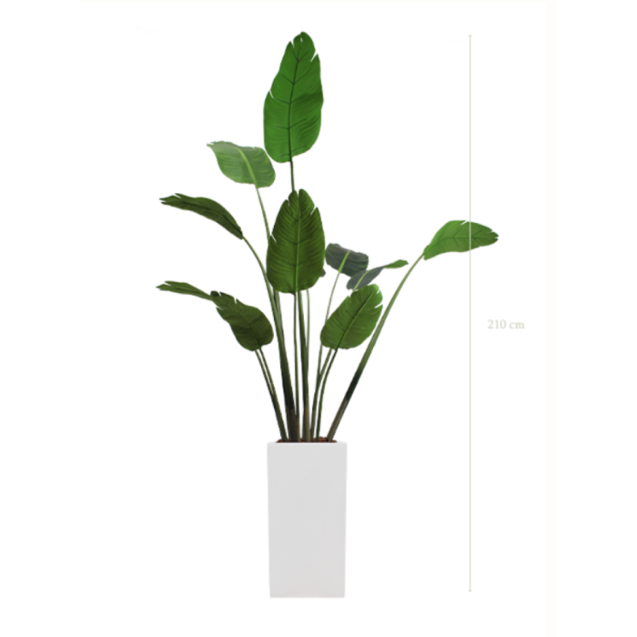 BANANIER 200220 - Arbre artificiel en pots cylindriques ou cubiques, noir ou blanc, finition écorces de pin (5) BANANIER 200220 - Arbre artificiel en pots cylindriques ou cubiques, noir ou blanc, finition écorces de pin (5)