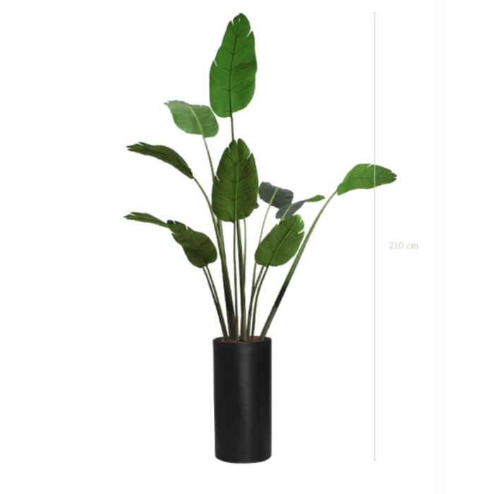 BANANIER 200220 - Arbre artificiel en pots cylindriques ou cubiques, noir ou blanc, finition écorces de pin (6) BANANIER 200220 - Arbre artificiel en pots cylindriques ou cubiques, noir ou blanc, finition écorces de pin (6)