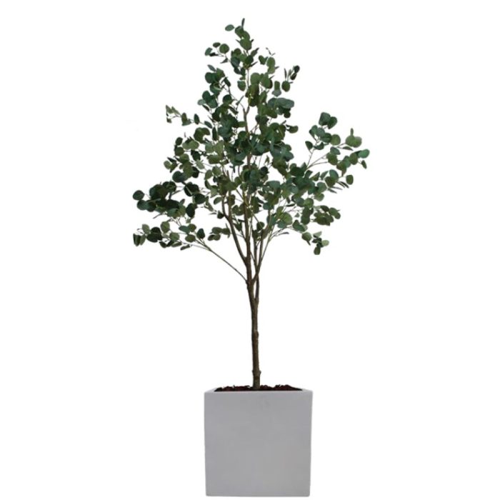 Eucalyptus Artificiel – H. 230 & 250 cm – Divers Pots – PE & Tergal (1)