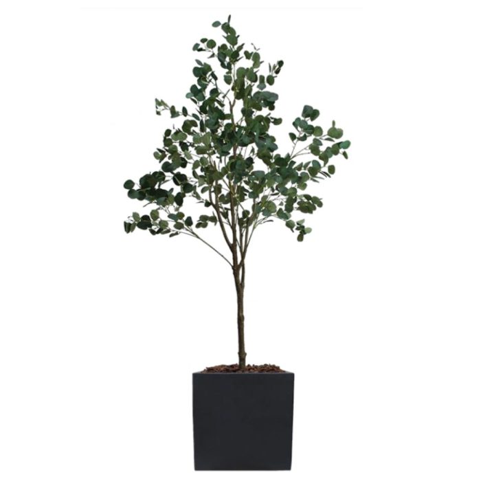Eucalyptus Artificiel – H. 230 & 250 cm – Divers Pots – PE & Tergal (8)