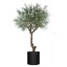 L'OLIVIER 230270280cm - Arbre méditerranéen semi-naturel en pot noir ou blanc, forme carrée ou cylindrique (1)