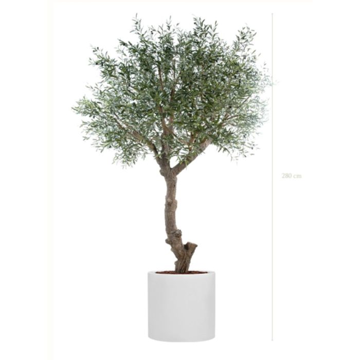 L'OLIVIER 230270280cm - Arbre méditerranéen semi-naturel en pot noir ou blanc, forme carrée ou cylindrique (2) L'OLIVIER 230270280cm - Arbre méditerranéen semi-naturel en pot noir ou blanc, forme carrée ou cylindrique (2)