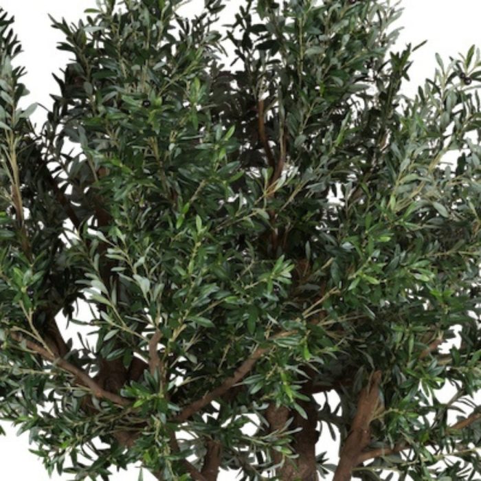 L'OLIVIER 230270280cm - Arbre méditerranéen semi-naturel en pot noir ou blanc, forme carrée ou cylindrique (2) L'OLIVIER 230270280cm - Arbre méditerranéen semi-naturel en pot noir ou blanc, forme carrée ou cylindrique (2)