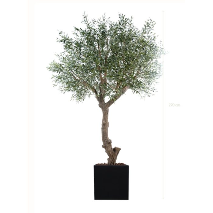 L'OLIVIER 230270280cm - Arbre méditerranéen semi-naturel en pot noir ou blanc, forme carrée ou cylindrique (3) L'OLIVIER 230270280cm - Arbre méditerranéen semi-naturel en pot noir ou blanc, forme carrée ou cylindrique (3)