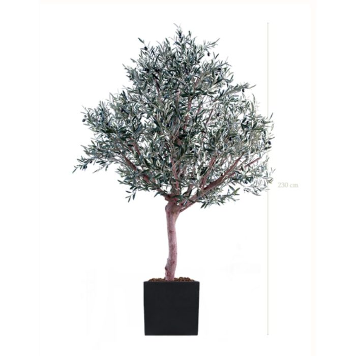 L'OLIVIER 230270280cm - Arbre méditerranéen semi-naturel en pot noir ou blanc, forme carrée ou cylindrique (4) L'OLIVIER 230270280cm - Arbre méditerranéen semi-naturel en pot noir ou blanc, forme carrée ou cylindrique (4)