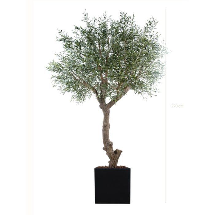 L'OLIVIER 230270280cm - Arbre méditerranéen semi-naturel en pot noir ou blanc, forme carrée ou cylindrique (4) L'OLIVIER 230270280cm - Arbre méditerranéen semi-naturel en pot noir ou blanc, forme carrée ou cylindrique (4)