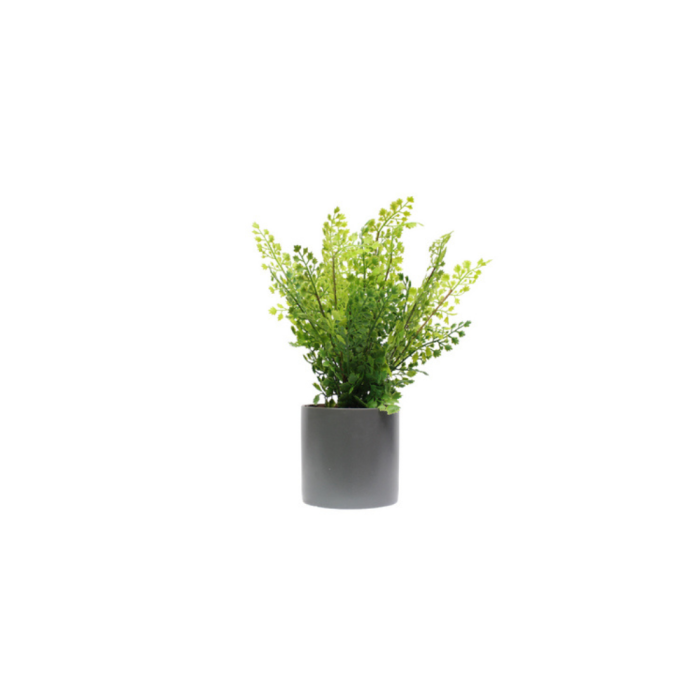 LOT DE 4 PLANTES VÉGÉTALISÉES 1822 - Succulentes artificielles en pots céramique gris ou blanc, cylindriques et carrés (1) LOT DE 4 PLANTES VÉGÉTALISÉES 1822 - Succulentes artificielles en pots céramique gris ou blanc, cylindriques et carrés (1)
