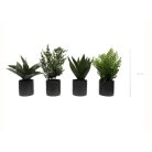 LOT DE 4 PLANTES VÉGÉTALISÉES 1822 - Succulentes artificielles en pots céramique gris ou blanc, cylindriques et carrés (5)