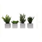 LOT DE 4 PLANTES VÉGÉTALISÉES 1822 - Succulentes artificielles en pots céramique gris ou blanc, cylindriques et carrés (6)