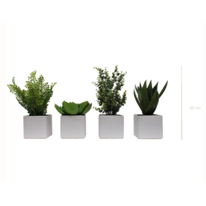 LOT DE 4 PLANTES VÉGÉTALISÉES 1822 - Succulentes artificielles en pots céramique gris ou blanc, cylindriques et carrés (6) LOT DE 4 PLANTES VÉGÉTALISÉES 1822 - Succulentes artificielles en pots céramique gris ou blanc, cylindriques et carrés (6)