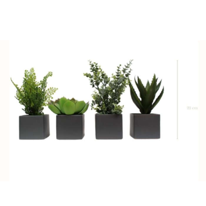LOT DE 4 PLANTES VÉGÉTALISÉES 1822 - Succulentes artificielles en pots céramique gris ou blanc, cylindriques et carrés (7) LOT DE 4 PLANTES VÉGÉTALISÉES 1822 - Succulentes artificielles en pots céramique gris ou blanc, cylindriques et carrés (7)