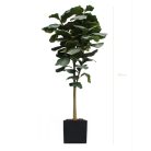 LYRATA 240 – Arbre artificiel tropical avec pot Fiberstone cylindrique ou carré, noir ou blanc (40x40x40 cm) (3)