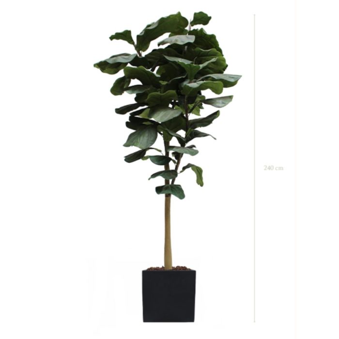 LYRATA 240 – Arbre artificiel tropical avec pot Fiberstone cylindrique ou carré, noir ou blanc (40x40x40 cm) (3) LYRATA 240 – Arbre artificiel tropical avec pot Fiberstone cylindrique ou carré, noir ou blanc (40x40x40 cm) (3)