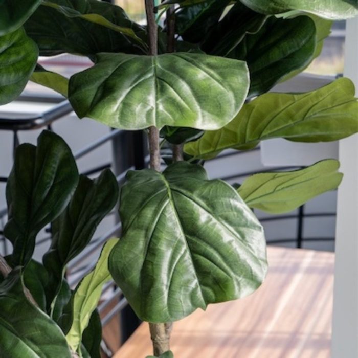 LYRATA 240 – Arbre artificiel tropical avec pot Fiberstone cylindrique ou carré, noir ou blanc (40x40x40 cm) (7) LYRATA 240 – Arbre artificiel tropical avec pot Fiberstone cylindrique ou carré, noir ou blanc (40x40x40 cm) (7)