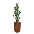 Le Cactus Artificiel – Hauteur 150-155 cm – Pots variés (Fiberstone noirblanc, Jonc de mer, Ficonstone marron) (6)