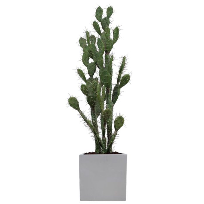 Le Cactus Artificiel – Hauteur 150-155 cm – Pots variés (Fiberstone noirblanc, Jonc de mer, Ficonstone marron) (7)