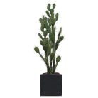 Le Cactus Artificiel – Hauteur 150-155 cm – Pots variés (Fiberstone noirblanc, Jonc de mer, Ficonstone marron) (8)