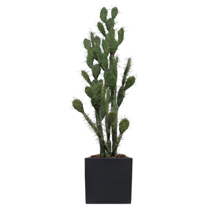 Le Cactus Artificiel – Hauteur 150-155 cm – Pots variés (Fiberstone noirblanc, Jonc de mer, Ficonstone marron) (8)