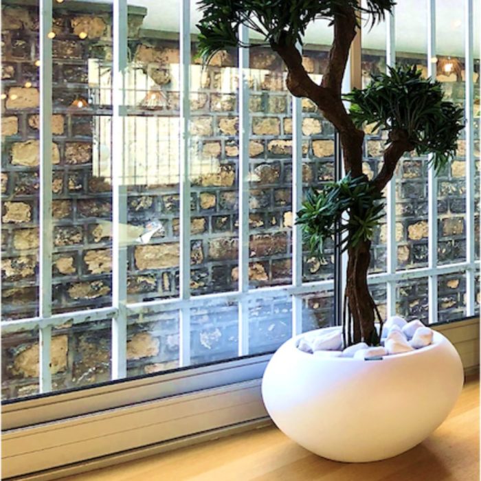 PODOCARPUS 150165170cm - Bonzaï artificiel zen en pots ovales ou tressés, noir, blanc ou beige (2)