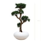 PODOCARPUS 150165170cm - Bonzaï artificiel zen en pots ovales ou tressés, noir, blanc ou beige (5)