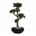 PODOCARPUS 150165170cm - Bonzaï artificiel zen en pots ovales ou tressés, noir, blanc ou beige (6)