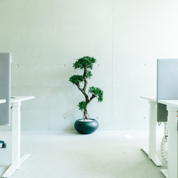 PODOCARPUS 150165170cm - Bonzaï artificiel zen en pots ovales ou tressés, noir, blanc ou beige (7)