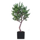Pin Semi-Naturel – H. 230 & 270 cm – Pot Carré Noir ou Blanc – Bois, Fibre & PE (1)