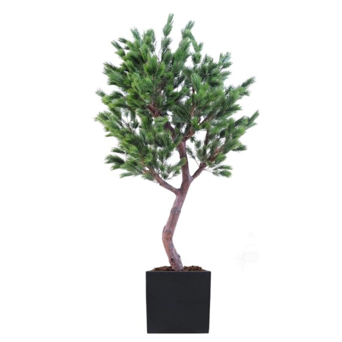 Pin Semi-Naturel – H. 230 & 270 cm – Pot Carré Noir ou Blanc – Bois, Fibre & PE (1)