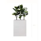SÉPARATEURS LYRATA – Bacs Fiberstone rectangulaires noirs ou blancs, tailles moyennes et grandes pour séparation d’espaces (4)
