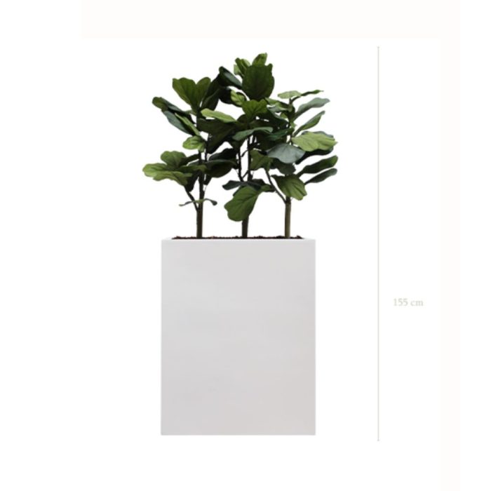 SÉPARATEURS LYRATA – Bacs Fiberstone rectangulaires noirs ou blancs, tailles moyennes et grandes pour séparation d’espaces (4)