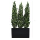 Séparateur Cyprès artificiel – ambiance méditerranéenne, hauteur 180 cm, bac noir ou blanc – usage extérieur (2)