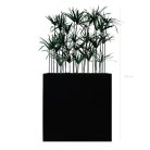 Séparateurs Papyrus – ambiance zen, hauteur 130 à 145 cm, bacs noir ou blanc, artificiel & stabilisé (3)