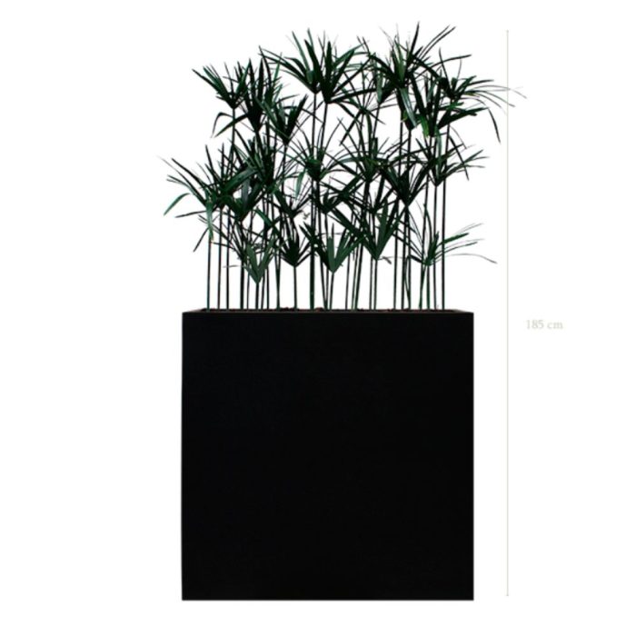 Séparateurs Papyrus – ambiance zen, hauteur 130 à 145 cm, bacs noir ou blanc, artificiel & stabilisé (3) Séparateurs Papyrus – ambiance zen, hauteur 130 à 145 cm, bacs noir ou blanc, artificiel & stabilisé (3)