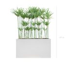 Séparateurs Papyrus – ambiance zen, hauteur 130 à 145 cm, bacs noir ou blanc, artificiel & stabilisé (4)