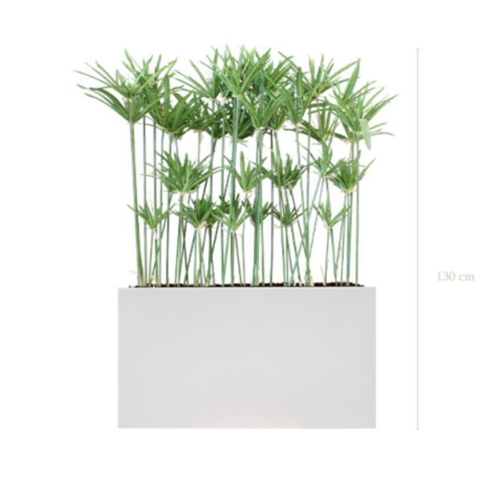 Séparateurs Papyrus – ambiance zen, hauteur 130 à 145 cm, bacs noir ou blanc, artificiel & stabilisé (4) Séparateurs Papyrus – ambiance zen, hauteur 130 à 145 cm, bacs noir ou blanc, artificiel & stabilisé (4)