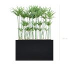 Séparateurs Papyrus – ambiance zen, hauteur 130 à 145 cm, bacs noir ou blanc, artificiel & stabilisé (5)