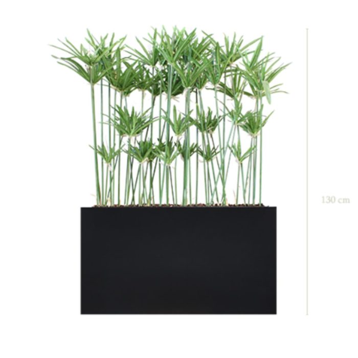 Séparateurs Papyrus – ambiance zen, hauteur 130 à 145 cm, bacs noir ou blanc, artificiel & stabilisé (5) Séparateurs Papyrus – ambiance zen, hauteur 130 à 145 cm, bacs noir ou blanc, artificiel & stabilisé (5)