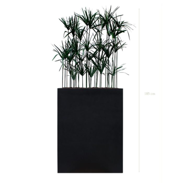 Séparateurs Papyrus – ambiance zen, hauteur 130 à 145 cm, bacs noir ou blanc, artificiel & stabilisé (8) Séparateurs Papyrus – ambiance zen, hauteur 130 à 145 cm, bacs noir ou blanc, artificiel & stabilisé (8)